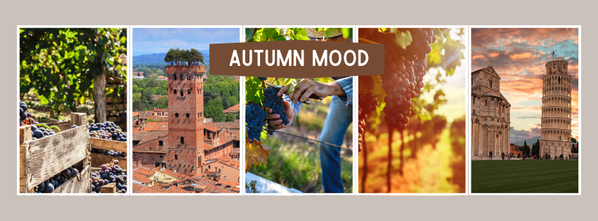 Toscan oliva garden lifesitel magazin autunno